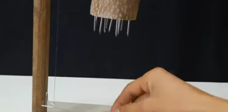 can a mouse trap break your finger