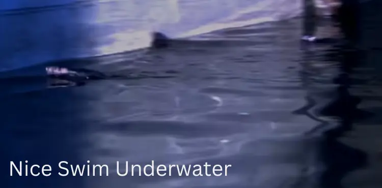 Nice Swim Underwater